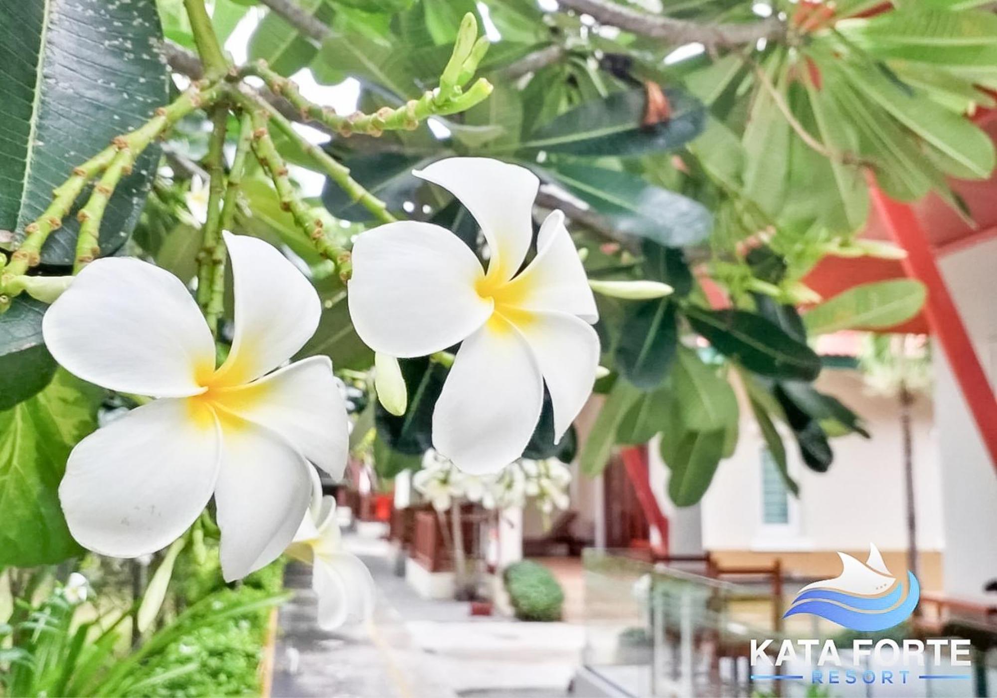 Kata Forte Resort Buitenkant foto